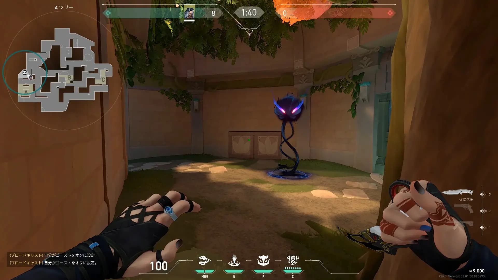 Aツリーホウント