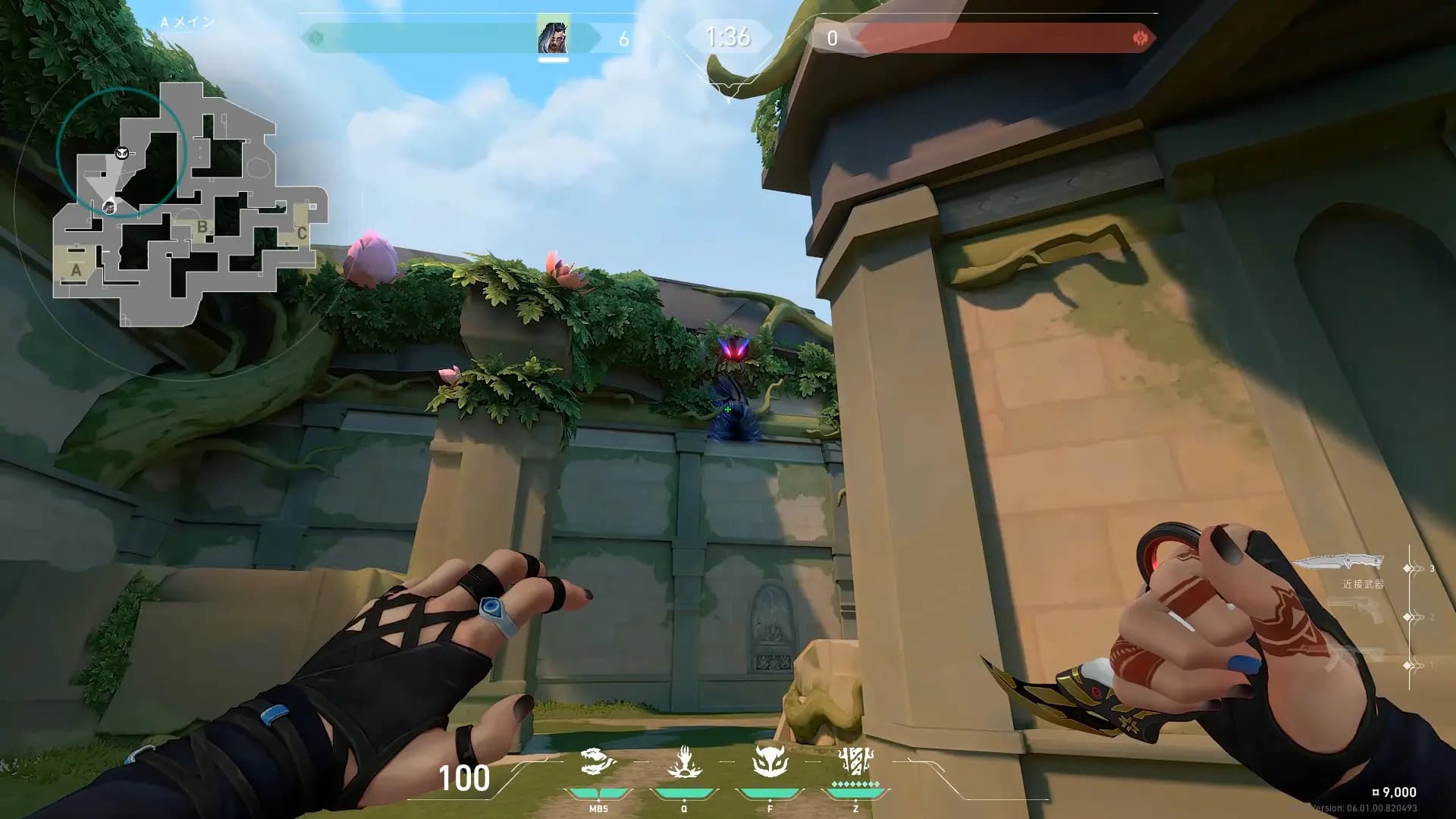 Aメイン守り開幕ホウント