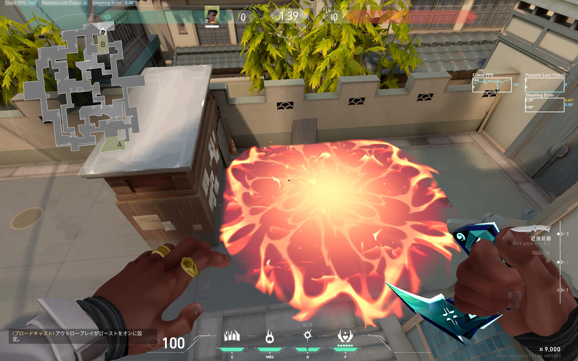 フェニックス　Bバックケア　壁裏