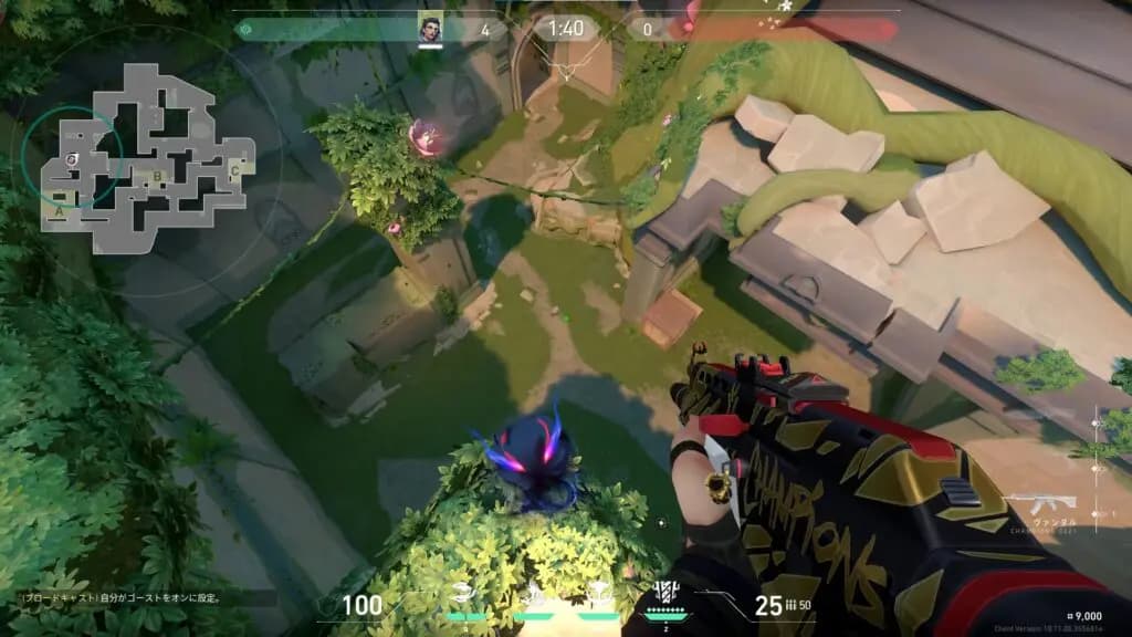 Aサイト守り壁抜きホウント